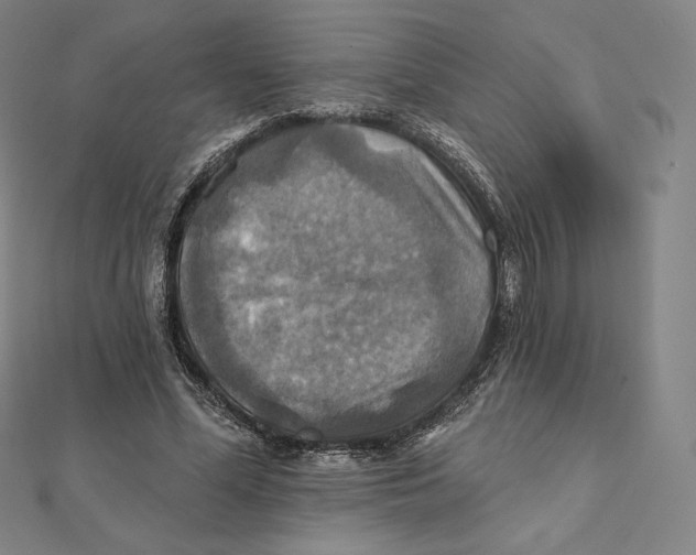 X0000112030588200908311217