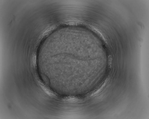 X0000112030589200908311217