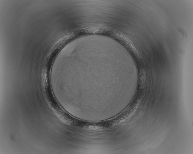X0000112030590200908311217
