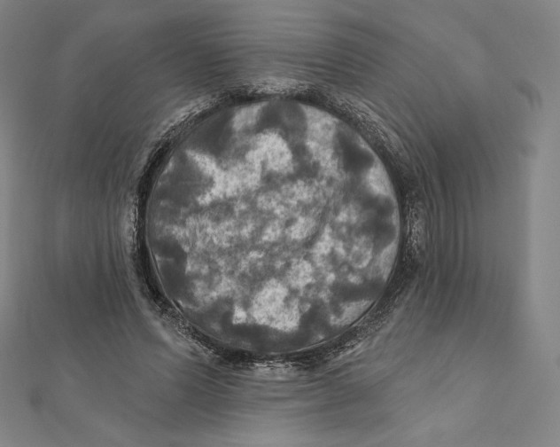 X0000112030591200908311217