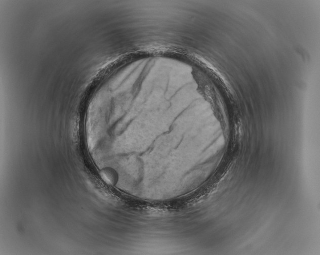 X0000112030592200908311217