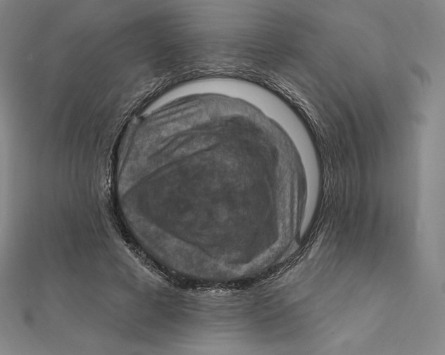 X0000112030593200908311217