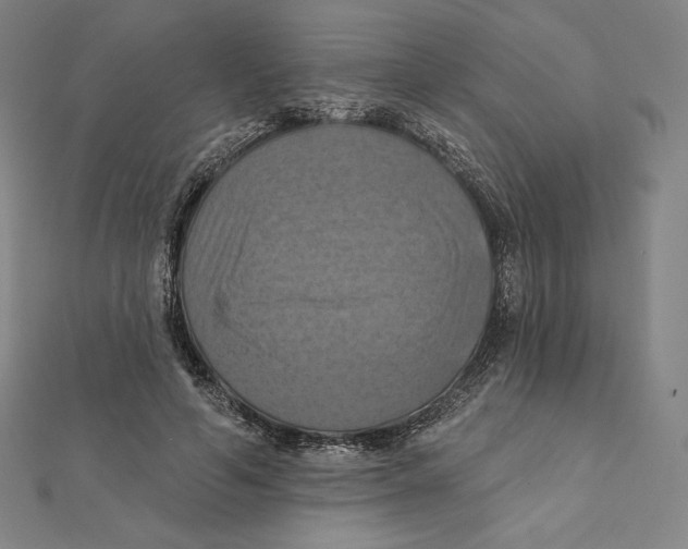 X0000112030594200908311217