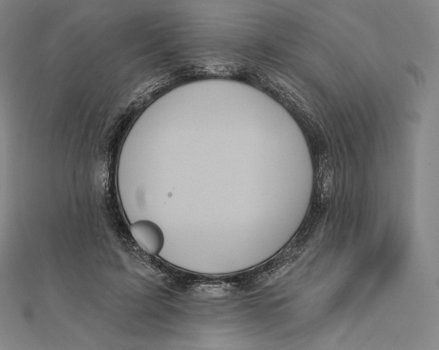 X0000112030595200908311217