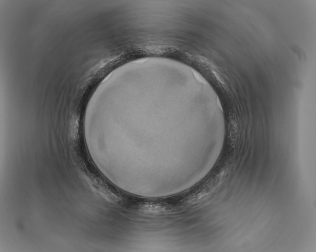X0000112030596200908311217