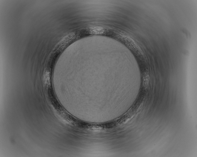 X0000112030598200908311217
