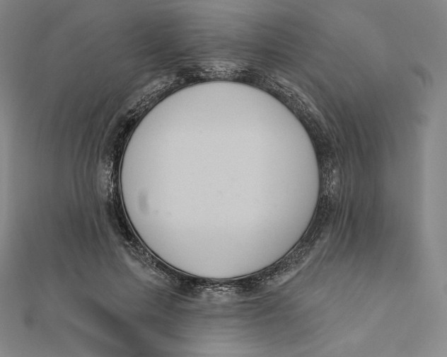 X0000112030599200908311217