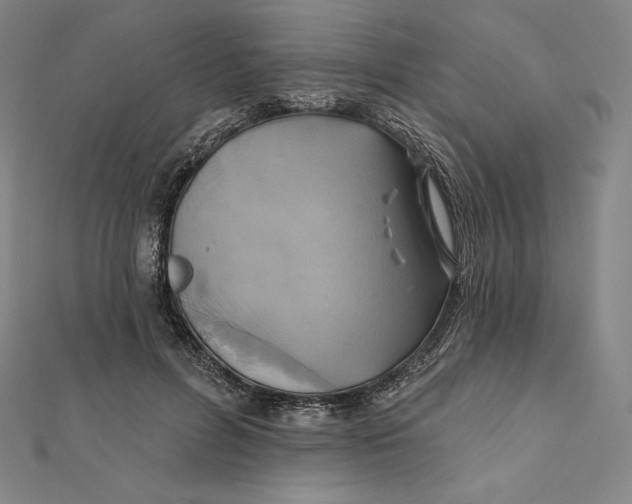 X0000112030600200908311217