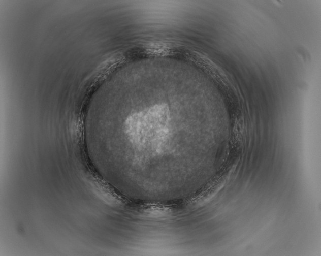 X0000112030601200908311217
