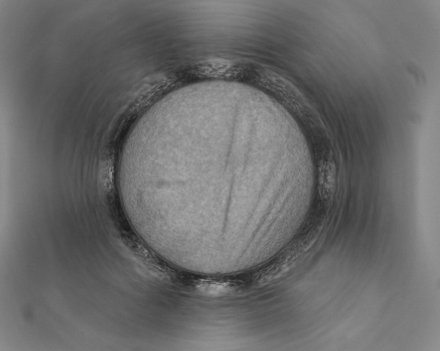 X0000112030602200908311217