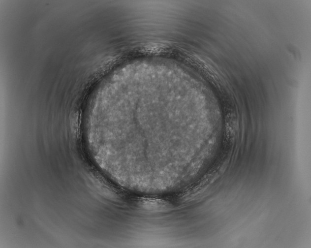 X0000112030605200908311217
