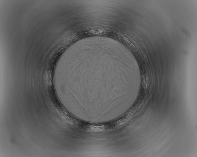 X0000112030606200908311217