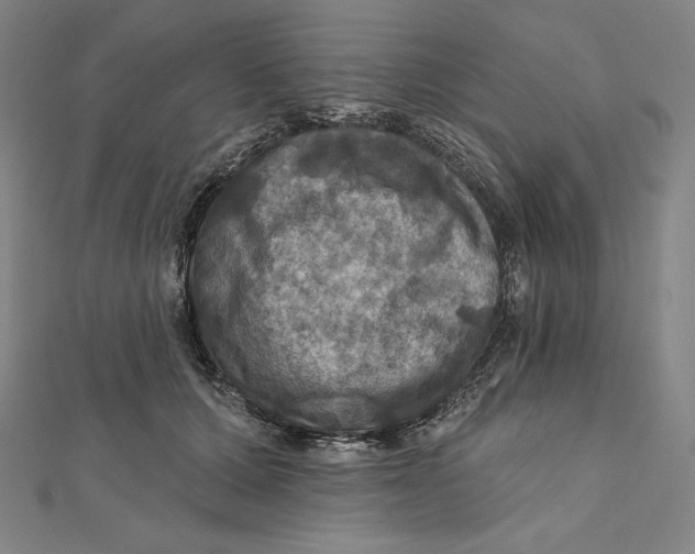 X0000112030607200908311217