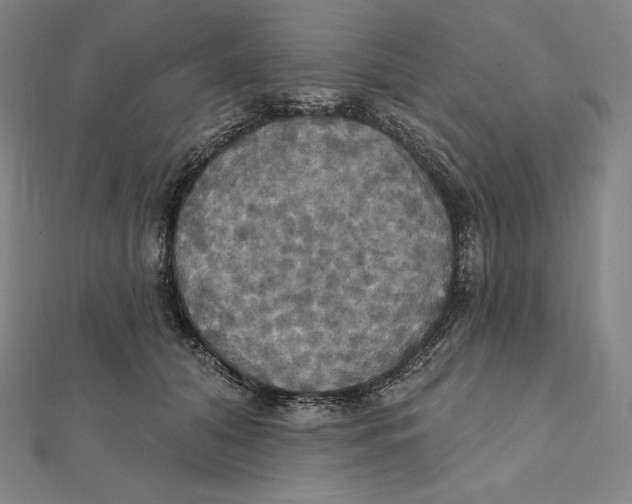 X0000112030608200908311217