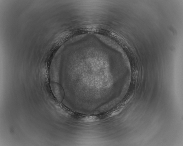 X0000112030609200908311217