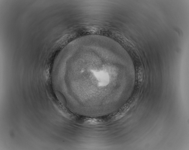 X0000112030611200908311217