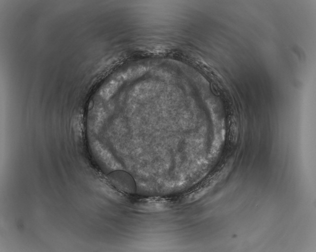 X0000112030612200908311217