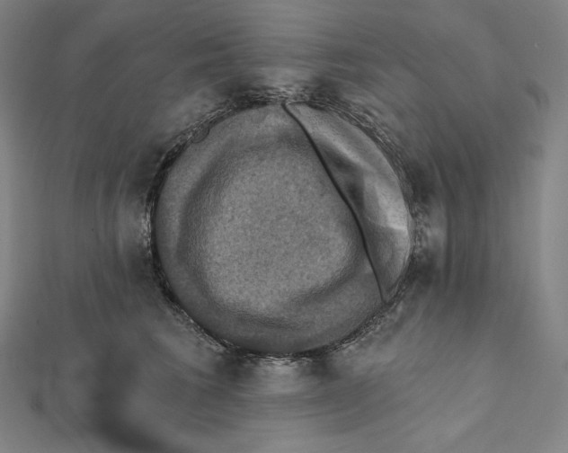 X0000112030613200908311217
