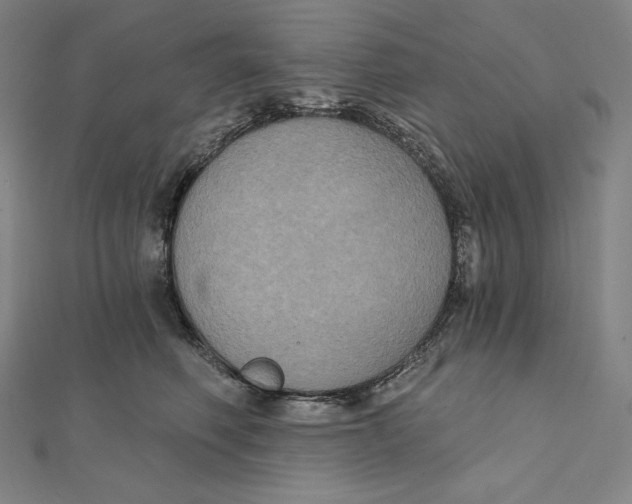 X0000112030614200908311217