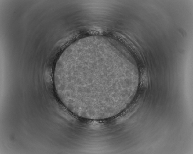 X0000112030616200908311217