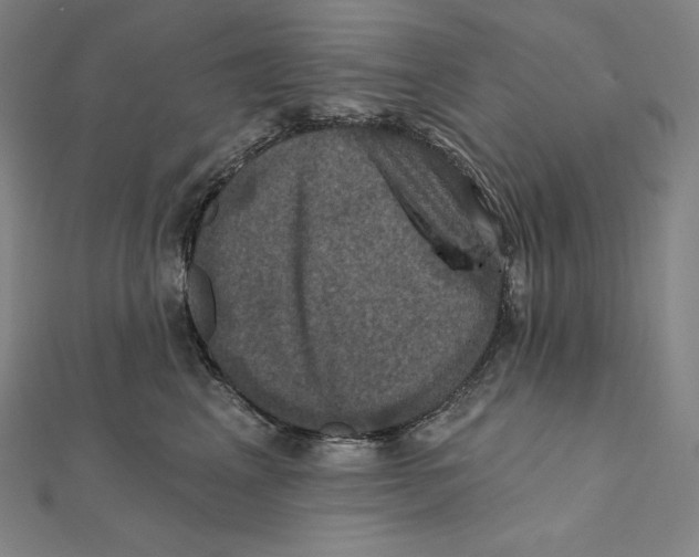 X0000112030617200908311217