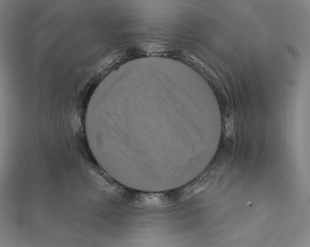 X0000112030618200908311217