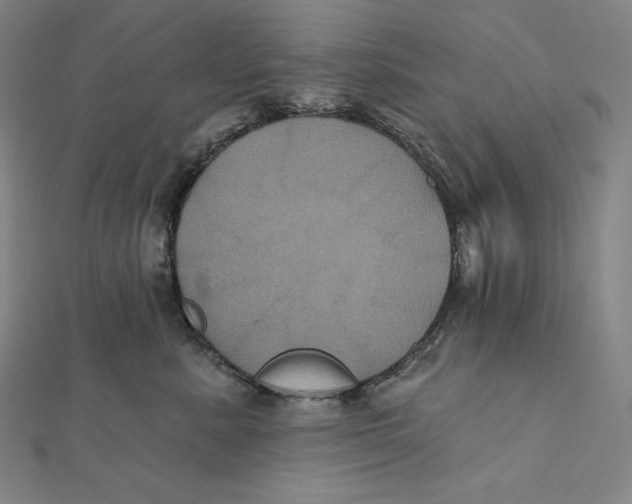 X0000112030619200908311217