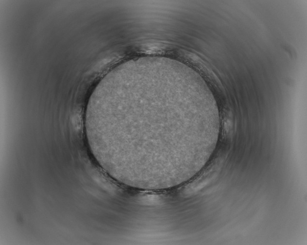 X0000112030620200908311217
