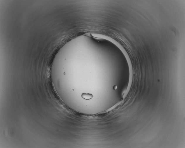 X0000112030621200908311217