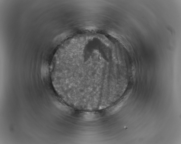 X0000112030623200908311217