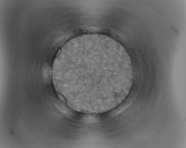 X0000112030624200908311217