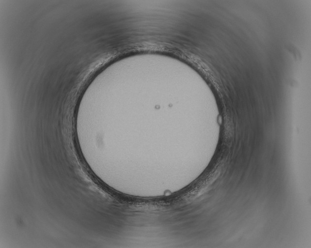X0000112030625200908311216