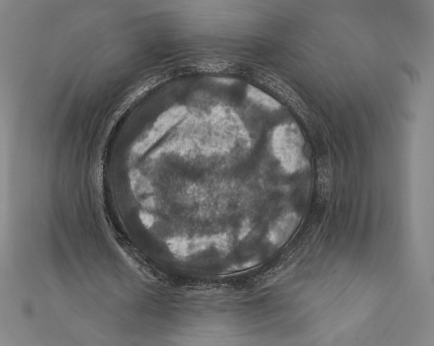 X0000112030626200908311216