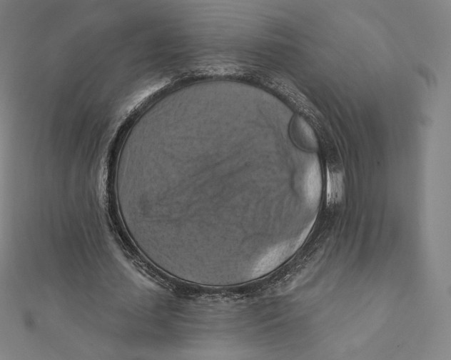 X0000112030627200908311216