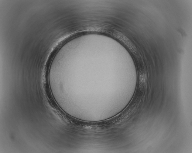 X0000112030628200908311216