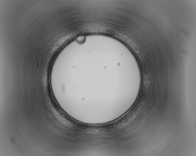 X0000112030629200908311216