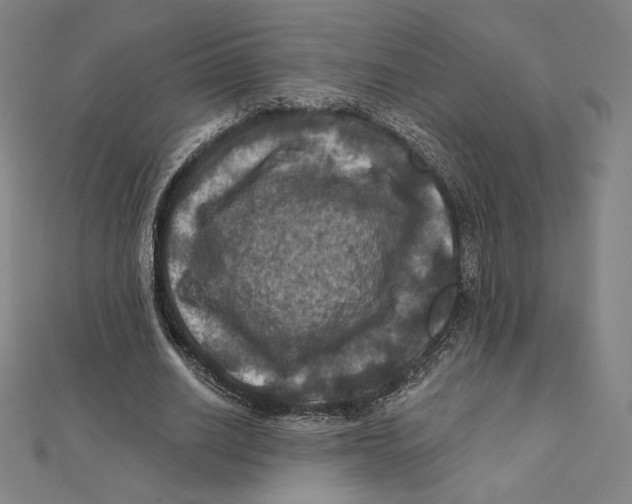 X0000112030630200908311216