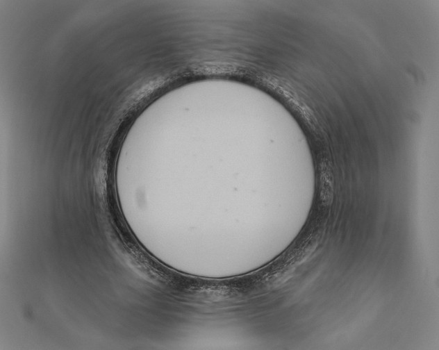 X0000112030631200908311216