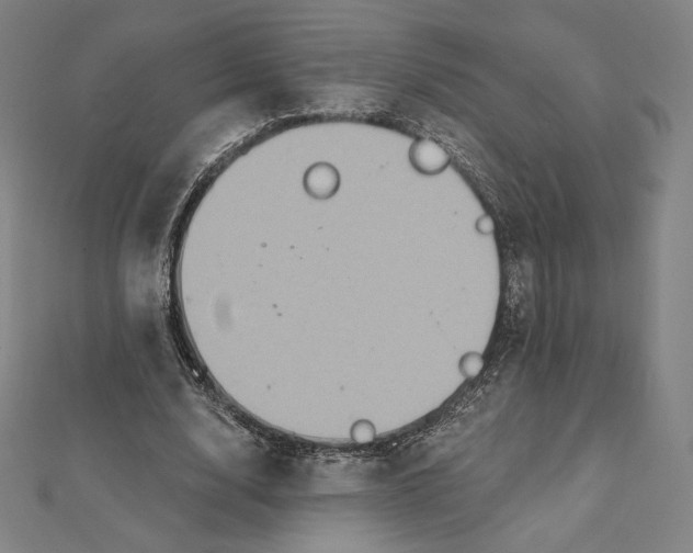 X0000112030632200908311216