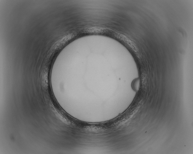 X0000112030633200908311216