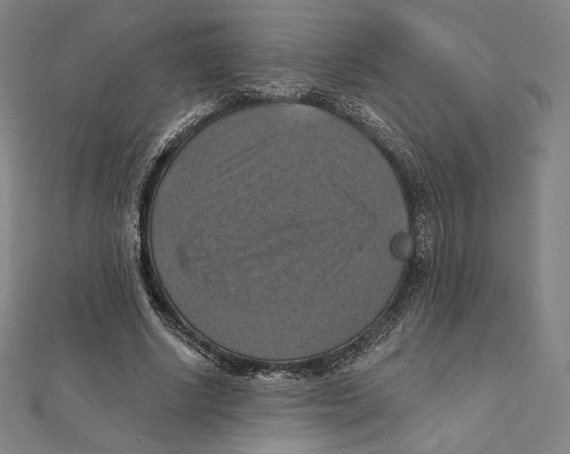 X0000112030634200908311216
