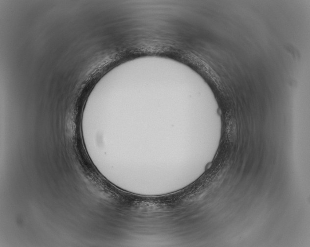 X0000112030635200908311216
