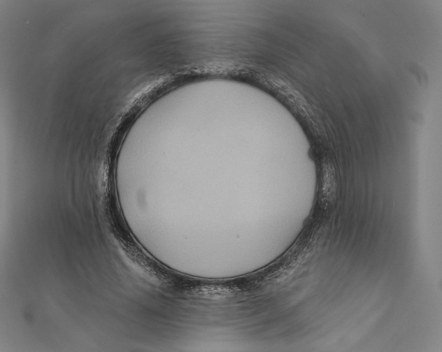 X0000112030636200908311216