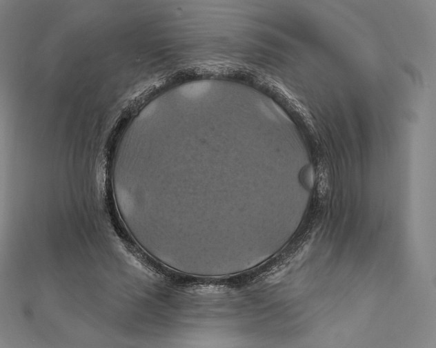 X0000112030637200908311216