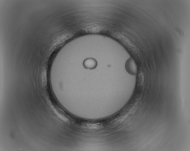 X0000112030638200908311216