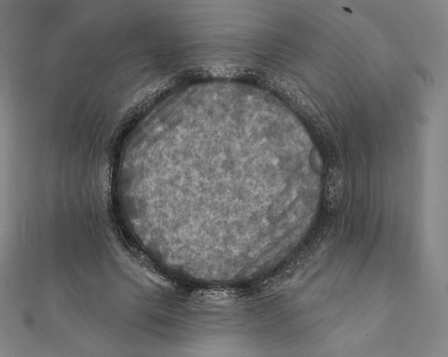 X0000112030639200908311216