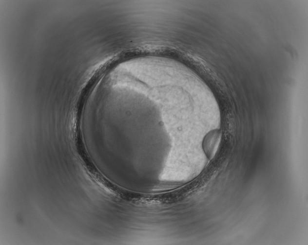 X0000112030640200908311216