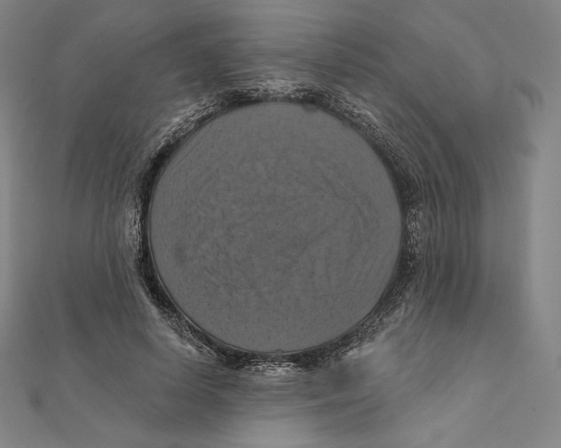 X0000112030642200908311216