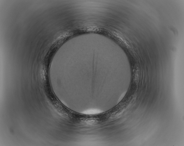 X0000112030643200908311216