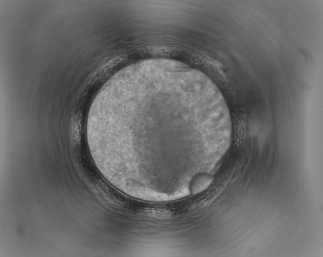 X0000112030644200908311216